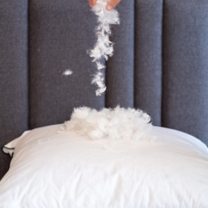 Oreiller duvet medium Cohala